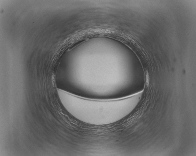 X0000069821492200605190857