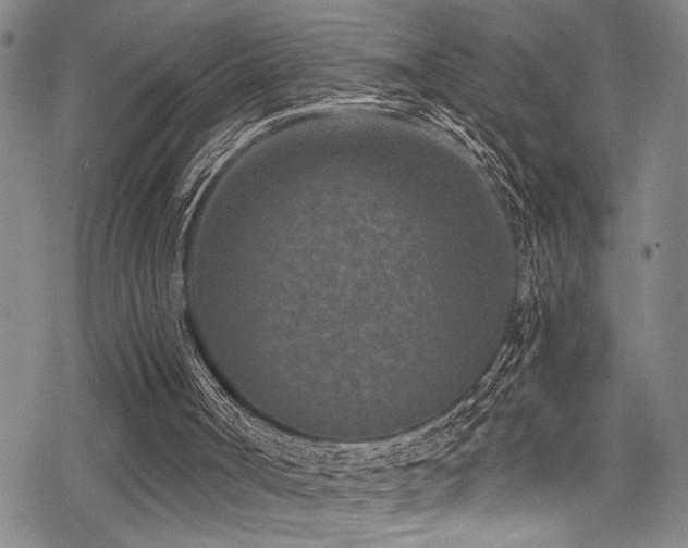 X0000069820002200605191122