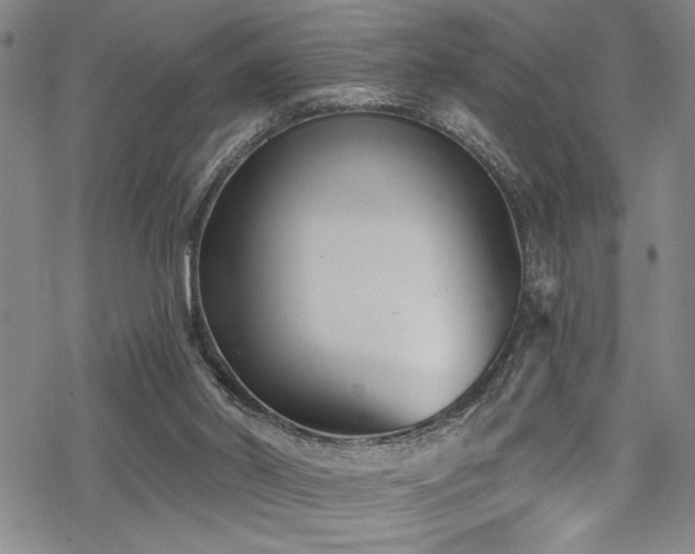 X0000069820014200605191122