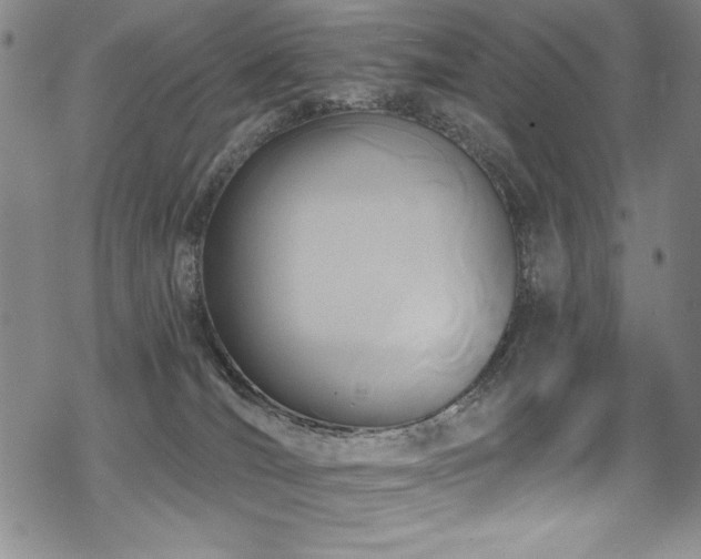 X0000069820036200605191122