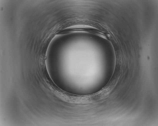 X0000069820044200605191122