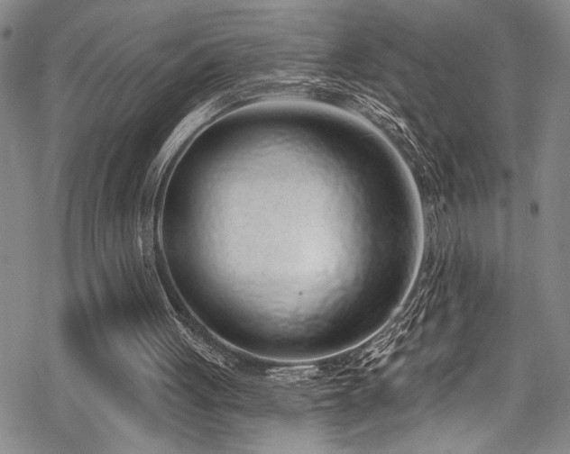 X0000069820051200605191121