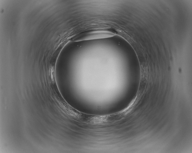 X0000069820094200605191122