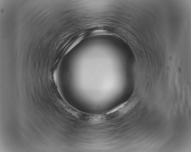 X0000069820096200605191122