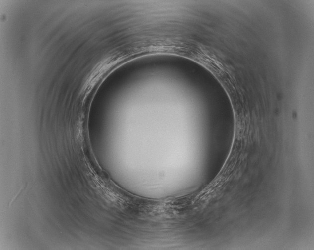 X0000069820098200605191121