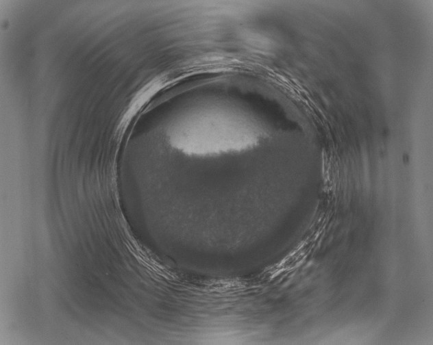 X0000069820099200605191121