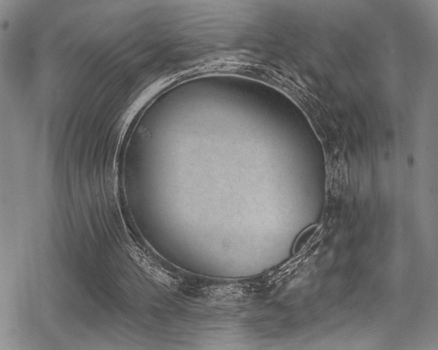 X0000069820100200605191121