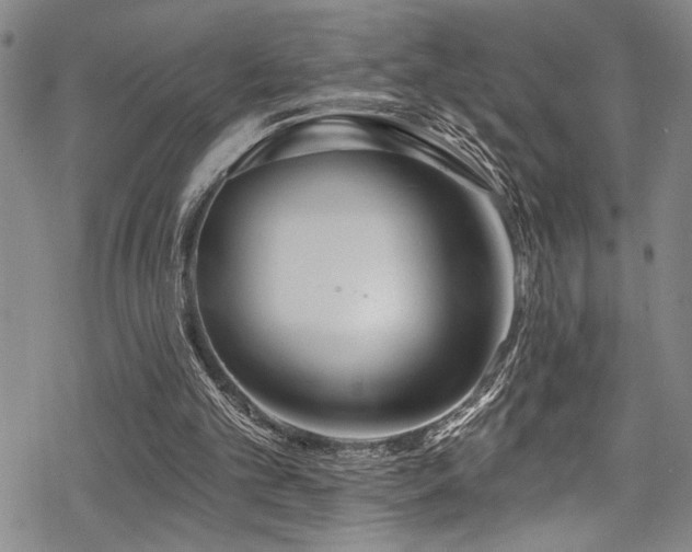 X0000069820101200605191121