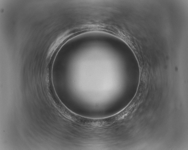 X0000069820103200605191121