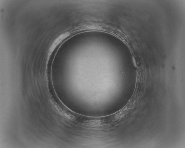 X0000069820104200605191121