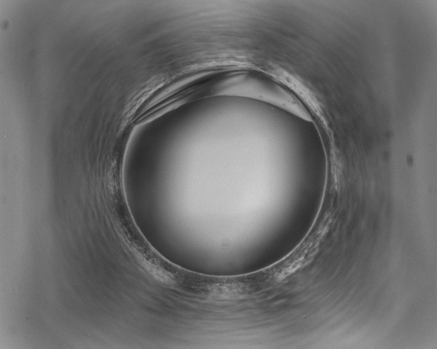 X0000069820105200605191121