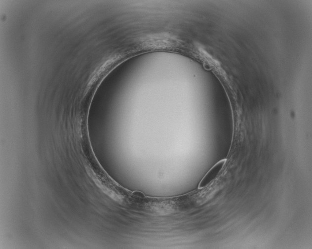 X0000069820106200605191121