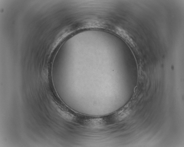 X0000069820108200605191121