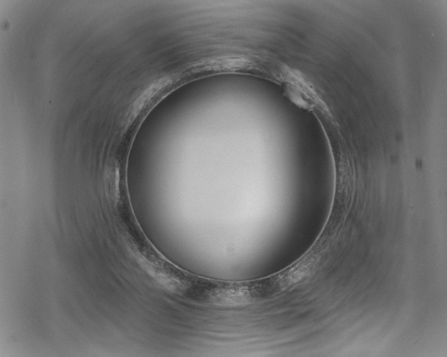 X0000069820110200605191121