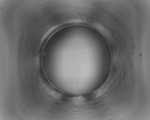 X0000069820112200605191121