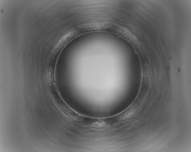 X0000069820119200605191120