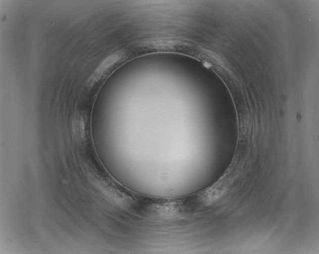 X0000069820120200605191120
