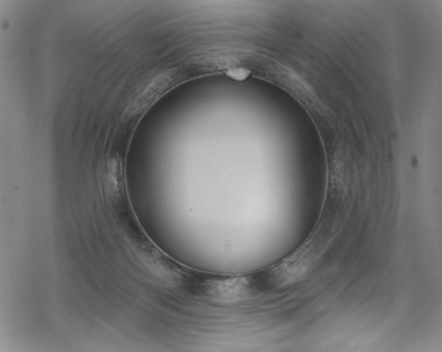 X0000069820122200605191120