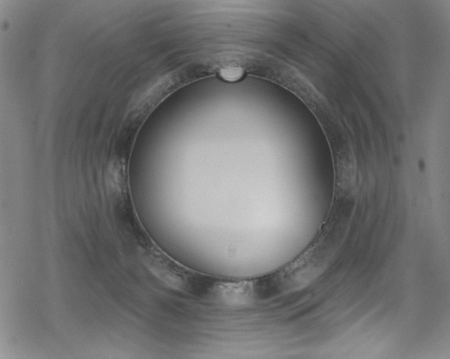 X0000069820126200605191120