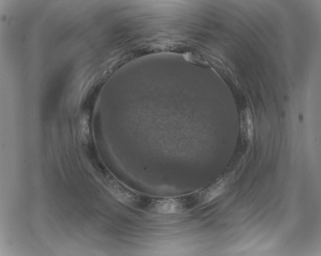 X0000069820127200605191120