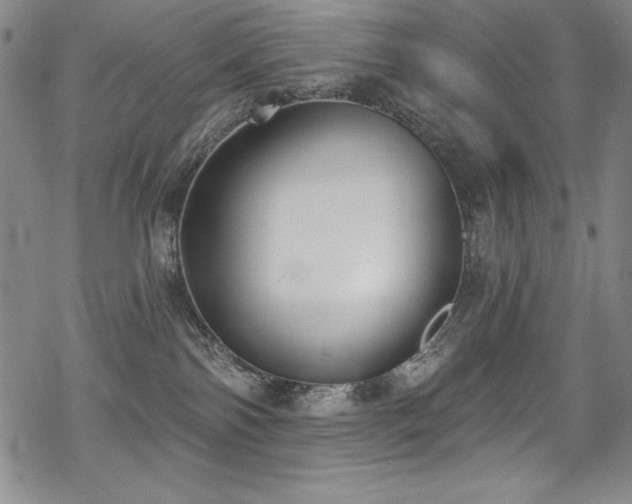 X0000069820138200605191120