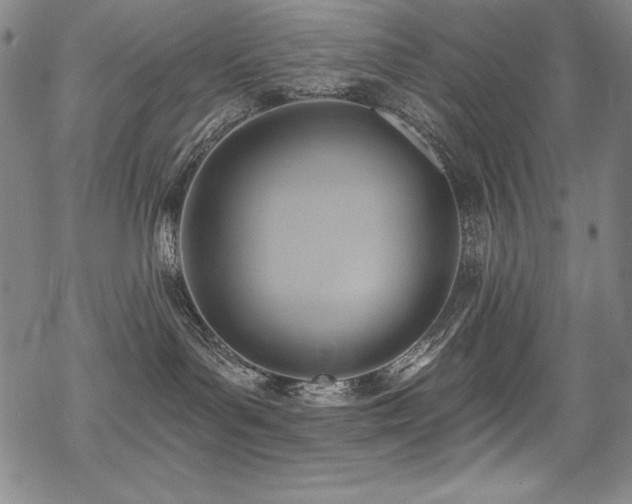 X0000069820143200605191120