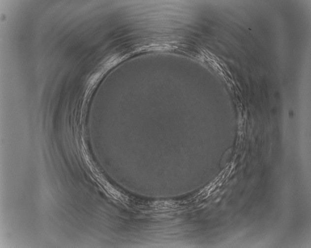 X0000069820145200605191119