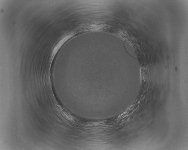 X0000069820147200605191119