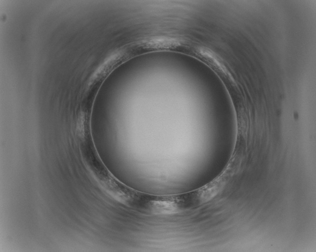 X0000069820167200605191120