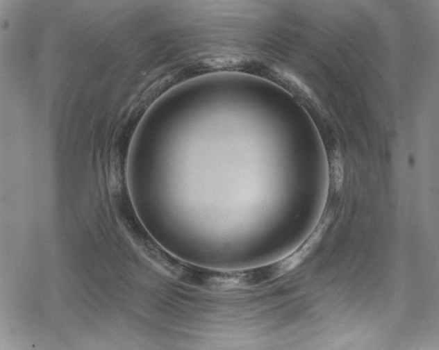 X0000069820170200605191120