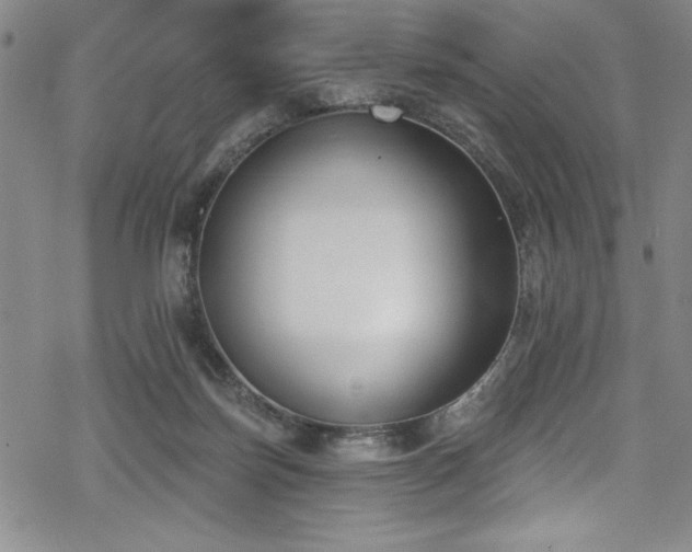 X0000069820171200605191120