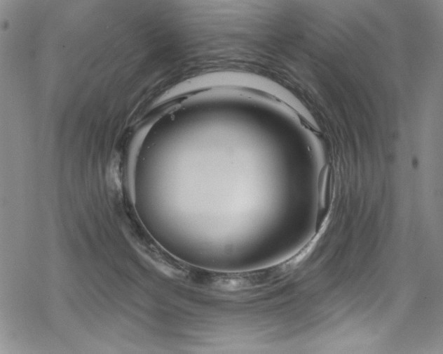 X0000069820174200605191120