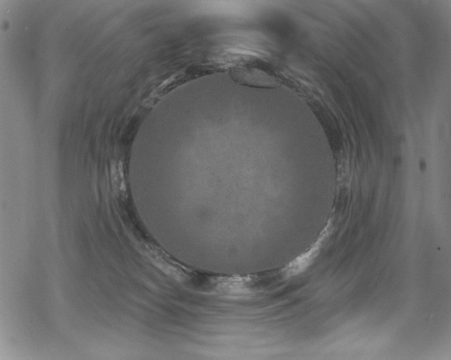 X0000069820182200605191120