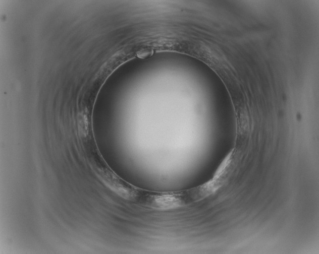 X0000069820183200605191120
