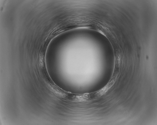X0000069820188200605191120