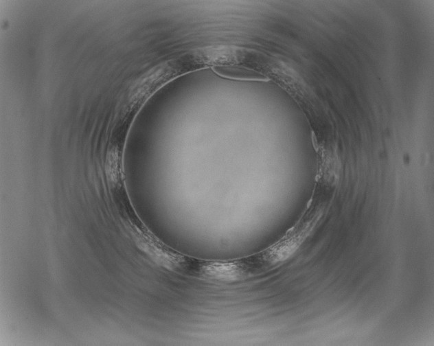 X0000069820189200605191120