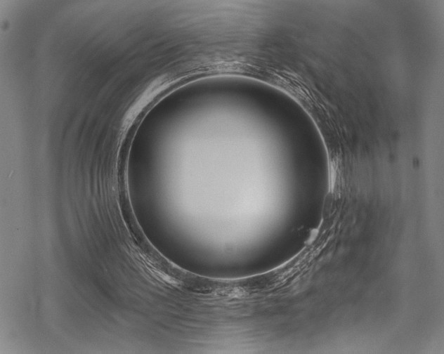 X0000069820195200605191119