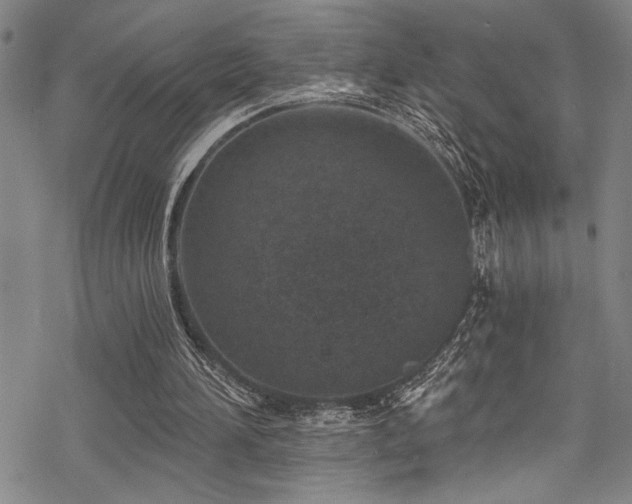 X0000069820196200605191119