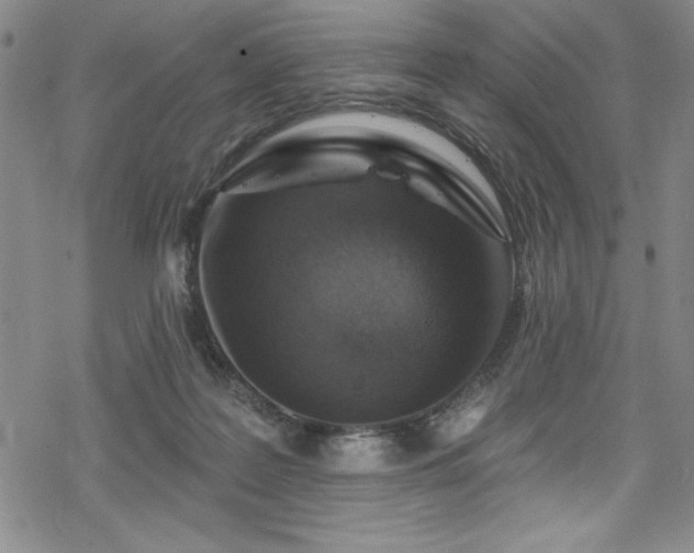 X0000069820219200605191119