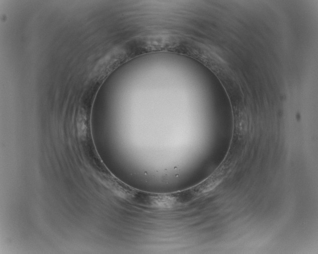 X0000069820226200605191119