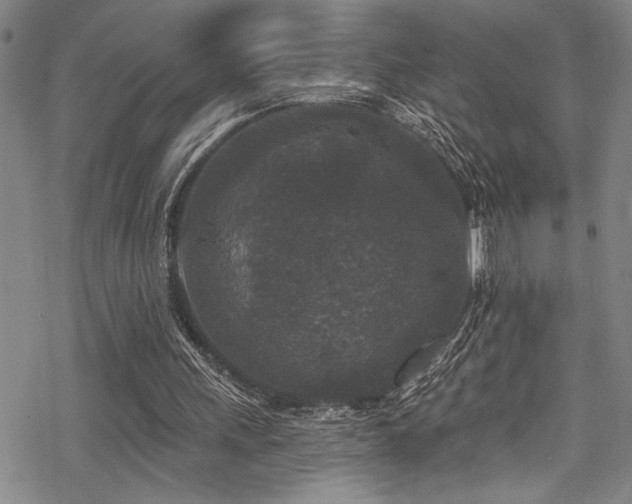 X0000069820243200605191118