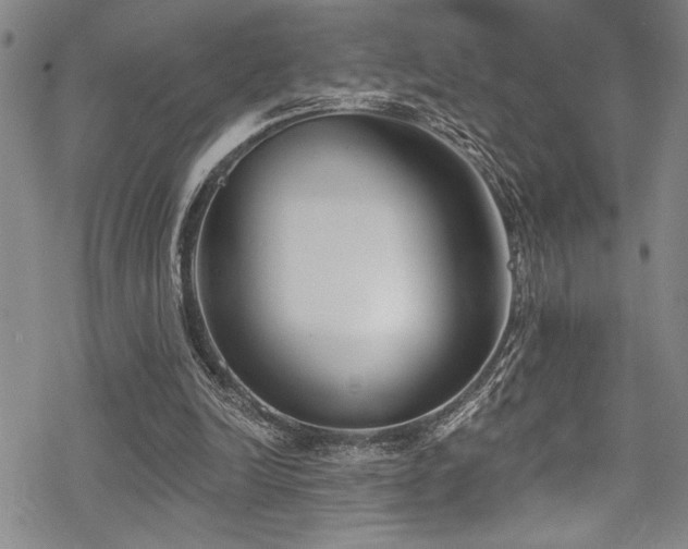 X0000069820246200605191118