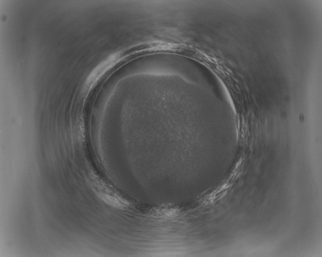 X0000069820247200605191118