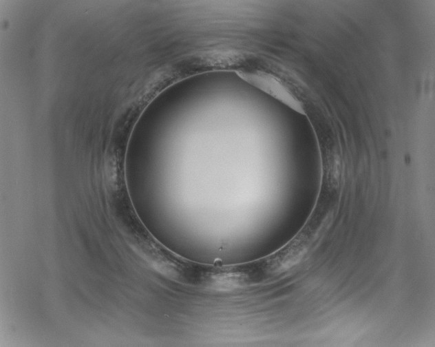 X0000069820268200605191118