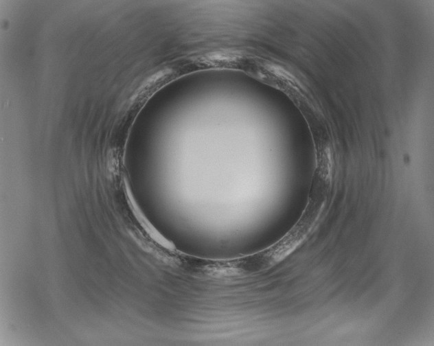 X0000069820284200605191118
