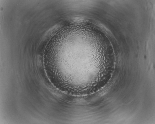 X0000069820361200605191117