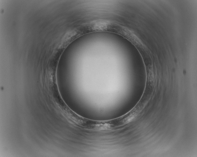 X0000069820363200605191117