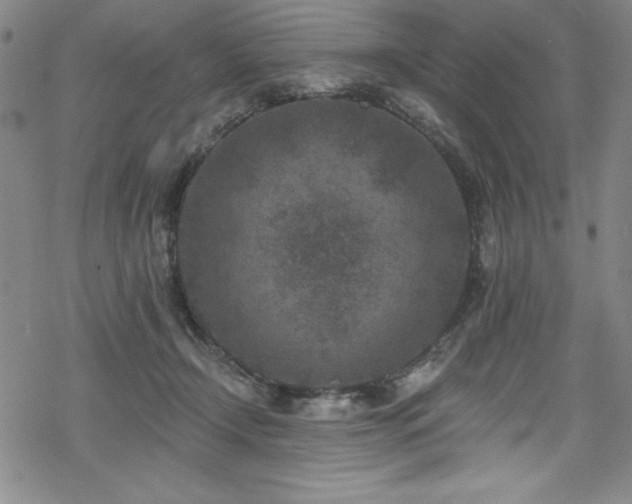 X0000069820366200605191117