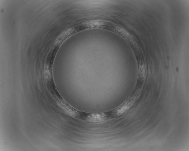 X0000069820381200605191117