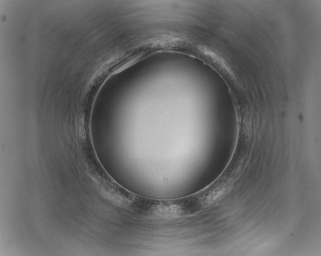 X0000069820403200605191116